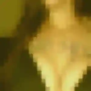 Pénélope (30 ans) à Abbeville cherche une rencontre aujourd'hui