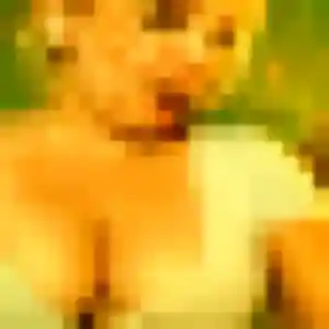Photo perso de Neema, 30 ans à Achenheim - rencontre coquine