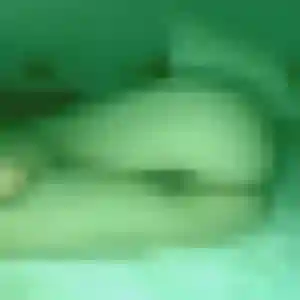 Contacte Prisca, 33 ans à Amanlis en privé