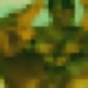 Photo de Mumbi à Ambleteuse (38 ans) - plan cul anonyme