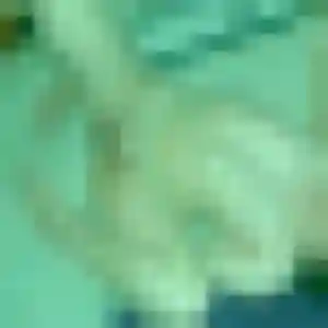 Sexy Odile, 25 ans à Ammerschwihr - découvrir son profil