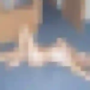 Photo privée de Deborah, 40 ans à Ampus - plan discret