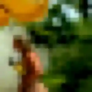 Photo de Astou à Arces-Dilo (40 ans) - plan cul anonyme