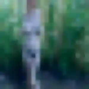 Arame, fille de 44 ans cherche plan cul à Argentré