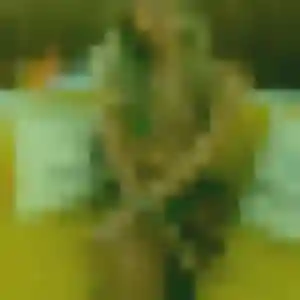 Khadija de Arpajon, 44 ans - plan cul discret