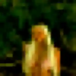 Profil de Léonie à Artzenheim (31 ans) - plan cul anonyme