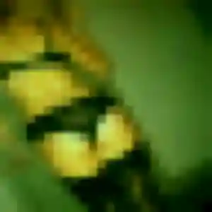 Photo exclusive de Ornella, 22 ans à Aspach-Michelbach - rencontre coquine