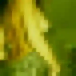 Photo de Nafi à Aubord (38 ans) - plan cul anonyme