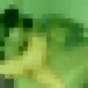 Photo de Yolène à Beaumetz-lès-Loges (34 ans) - plan cul sans inscription