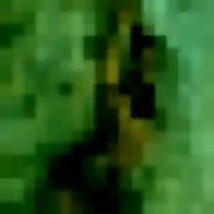 Profil de Ebele à Berstett (32 ans) - plan cul gratuit