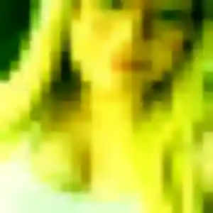 Profil de Afi à Bétaille (23 ans) - plan cul gratuit