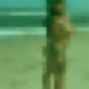 Axelle, 33 ans, dispo pour plan cul à Bezannes