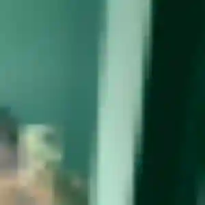 Suzanne (38 ans) à Billère cherche un plan cul ce soir