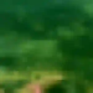 Photo de Sandy à Bischwihr (22 ans) - plan cul anonyme