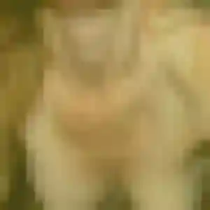 Brigitte (29 ans) à Boisgervilly cherche un plan cul aujourd'hui
