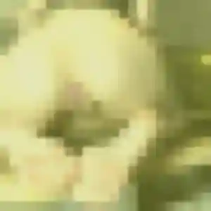 Profil de Zara à Bouranton (42 ans) - plan cul gratuit