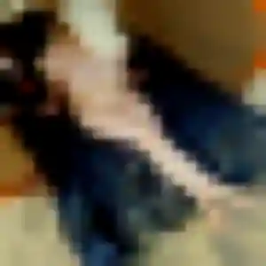 Aissatou de Bouzigues, 41 ans - plan cul discret