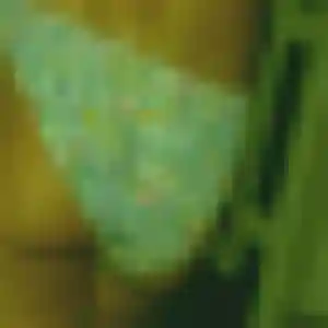 Adeola de Bréhand, 31 ans - plan cul discret