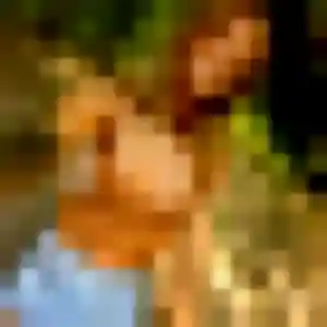 Photo de Djamilatou à Brousseval (28 ans) - plan cul anonyme