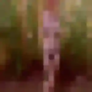 Photo de Modupe à Caden (36 ans) - plan cul anonyme