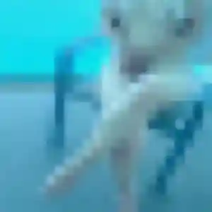 Photo exclusive de Léonie, 38 ans à Castets - rencontre sans lendemain