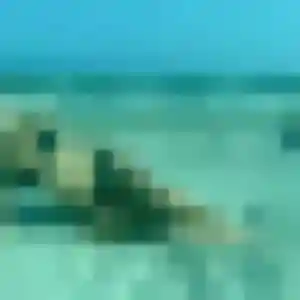 Tabitha (32 ans) à Châtillon-sur-Loire attend une rencontre rapidement