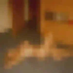 Téning, 41 ans, dispo pour plan cul à Chaumont