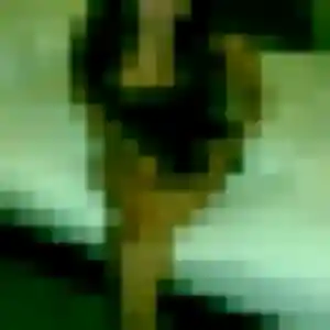 Photo de Amani à Cirières (42 ans) - plan cul gratuit