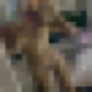Photo exclusive de Valentine, 30 ans à Clermont - rencontre coquine