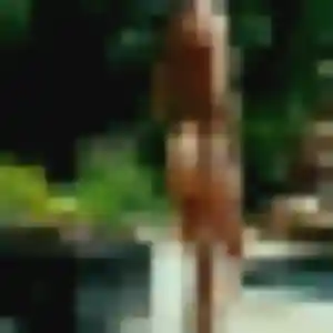 Tabitha, 42 ans, disponible à Colembert pour une rencontre coquine