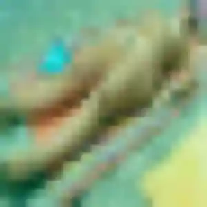 Photo sexy de Wambui, 32 ans à Corenc - rencontre coquine