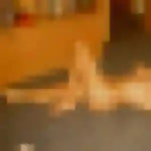 Nicole (28 ans) à Courbeveille propose une rencontre aujourd'hui