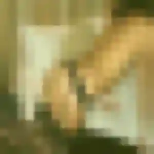 Profil de Tatu à Courdimanche (27 ans) - plan cul anonyme