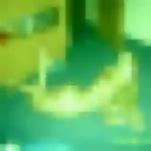 Ndèye, 39 ans, connectée à Cuttoli-Corticchiato pour un plan cul