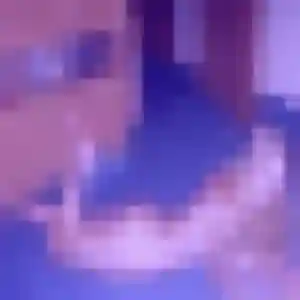 Photo privée de Ndèye, 40 ans à Danne-et-Quatre-Vents - plan discret