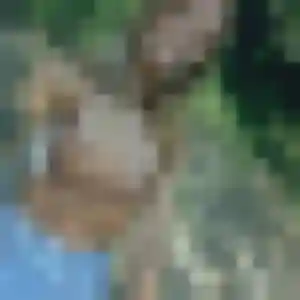 Ketsia, 38 ans, veut un plan cul à Dargnies