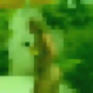 Photo privée de Yawa, 37 ans à Dieffenbach-au-Val - rencontre coquine