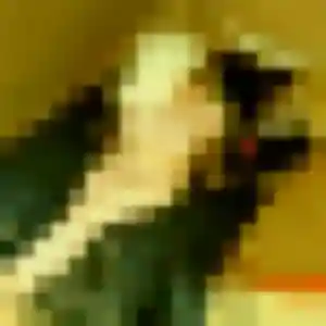 Photo exclusive de Bousso, 32 ans à Draché - rencontre coquine
