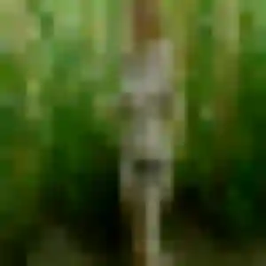 Photo de Perpétue à Draillant (32 ans) - plan cul gratuit