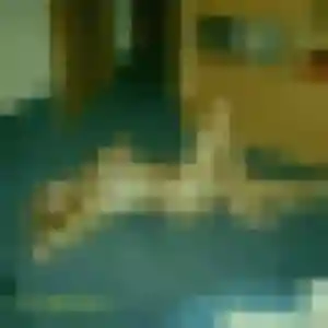 Photo de Latifa à Entre-Vignes (32 ans) - plan cul sans inscription