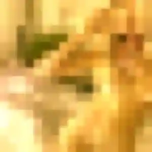 Photo de Georgette à Époisses (28 ans) - plan cul anonyme