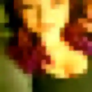 Jennifer, femme de 34 ans cherche plan cul à Équihen-Plage
