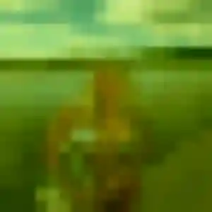 Photo sexy de Mégane, 45 ans à Éréac - rencontre coquine