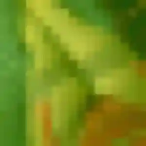 Photo privée de Binta, 32 ans à Essé - rencontre coquine