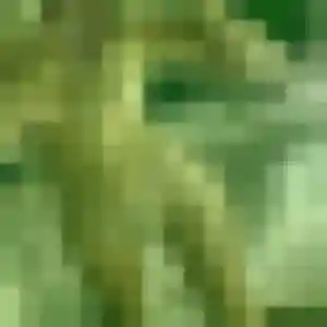 Wanjiku, 25 ans, en ligne à Fareins pour une rencontre coquine