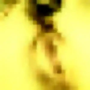 Tanoh de Florentin, 42 ans - plan cul discret