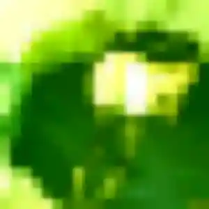 Photo de Céline à Fontvannes (39 ans) - plan cul anonyme