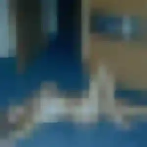 Photo de Sokhna à Fortschwihr (35 ans) - plan cul anonyme