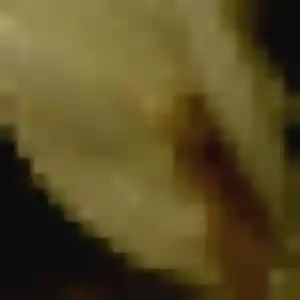 Dienaba, fille de 33 ans veut plan cul à Fourneaux