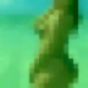 Ifeoma, femme de 22 ans cherche plan cul à Frans